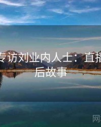 麻豆网专访刘业内人士：直播事故幕后故事