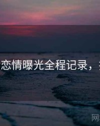 麻豆app恋情曝光全程记录，揭秘真相