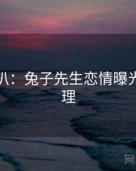 独家深扒：兔子先生恋情曝光公众心理