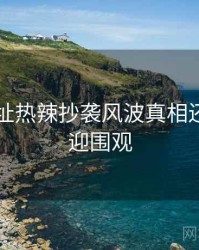 51网网址热辣抄袭风波真相还原，欢迎围观