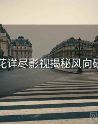 探花详尽影视揭秘风向研判