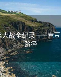 独家粉丝大战全纪录——麻豆app传播路径