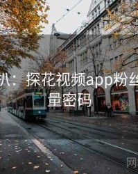 独家深扒：探花视频app粉丝大战流量密码