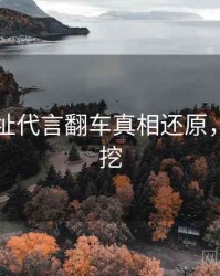 51网网址代言翻车真相还原，一起深挖