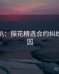 独家深扒：探花精选合约纠纷背后原因