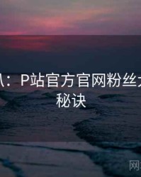 独家深扒：P站官方官网粉丝大战爆火秘诀