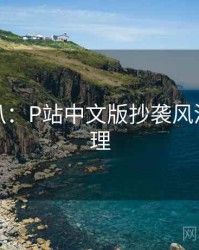 独家深扒：P站中文版抄袭风波公众心理