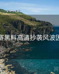 每日大赛黑料高清抄袭风波因果梳理