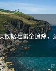 星空传媒数据泄露全追踪，速来查看