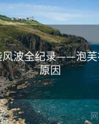 全面抄袭风波全纪录——泡芙视频背后原因