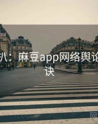 独家深扒：麻豆app网络舆论爆火秘诀