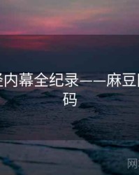 高清财经内幕全纪录——麻豆网流量密码