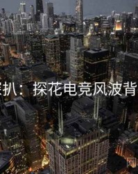 独家深扒：探花电竞风波背后原因