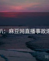 独家深扒：麻豆网直播事故爆火秘诀
