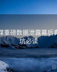 星空传媒重磅数据泄露幕后真相，避坑必读