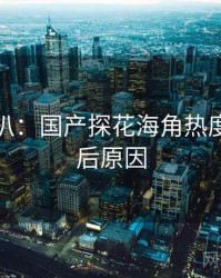 独家深扒：国产探花海角热度反转背后原因