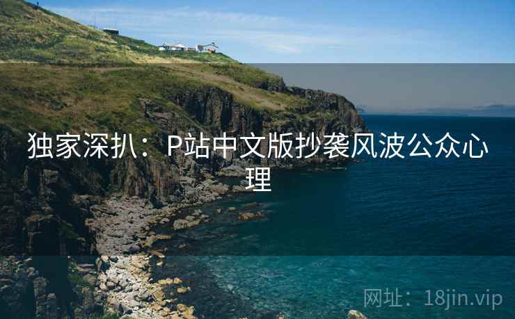 独家深扒:P站中文版抄袭风波公众心理 独家深扒:P站中文版抄袭风波公众心理