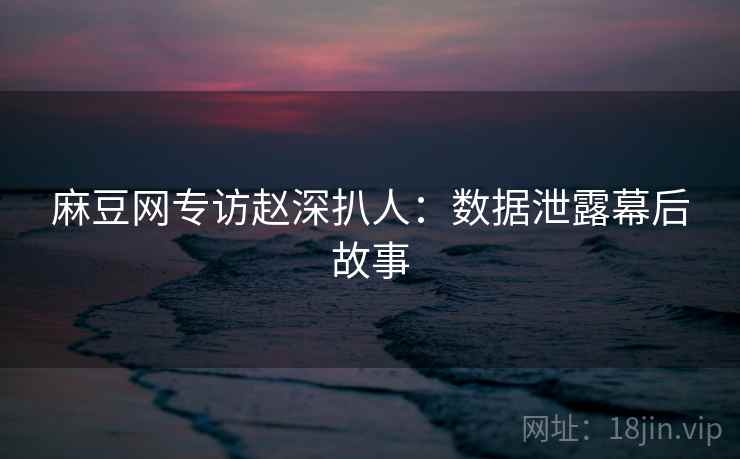 麻豆网专访赵深扒人:数据泄露幕后故事 麻豆网专访赵深扒人:数据泄露幕后故事