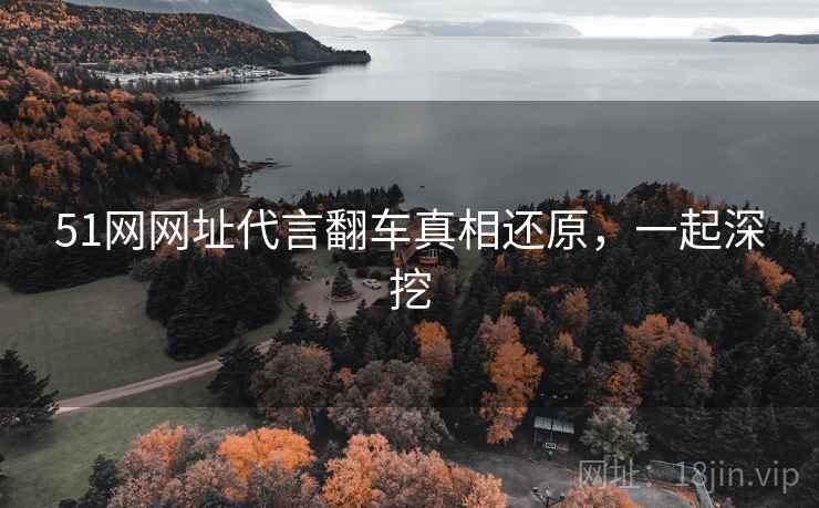 51网网址代言翻车真相还原，一起深挖