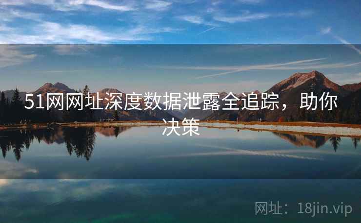 51网网址深度数据泄露全追踪，助你决策